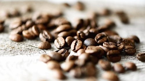 Everything you should know about coffee beans